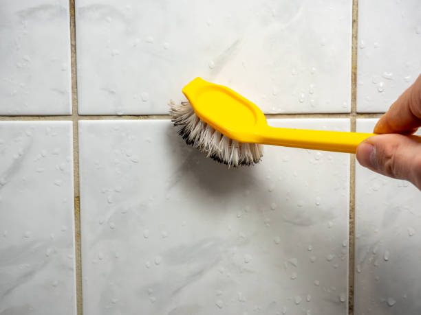 Best Attic Mold Removal  in Arlington, OH
