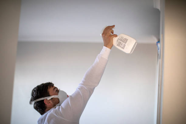 Best Emergency Mold Removal  in Arlington, OH