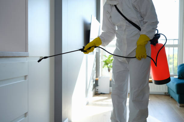 Best Residential Mold Removal  in Arlington, OH