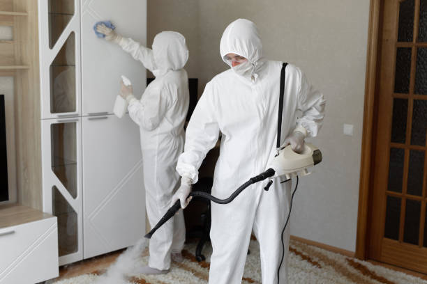 Professional Mold Removal in Arlington, OH